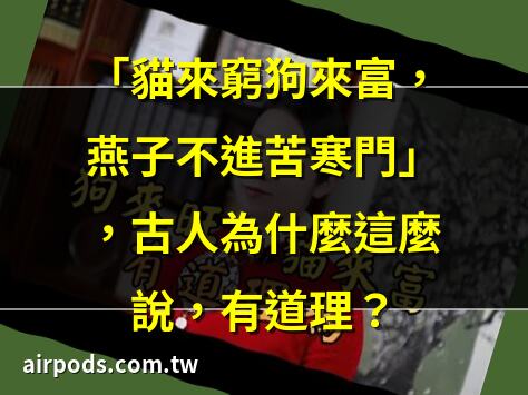 四喜齊來，來的是哪四喜？好像人人都知道，實際誰都說不準｜俗語「豬來窮，狗來富，貓來頭上頂白布」啥意思？【酒窩談國學】#趣味科普#國學智慧#人生感悟#算命#風水
