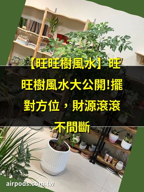 幸福樹風水寓意+幸福樹照顧指南：日照/修剪/澆水/繁殖｜2025年精選20種室內植物人氣推薦!同場加映帶來好風水植物的5種特色!