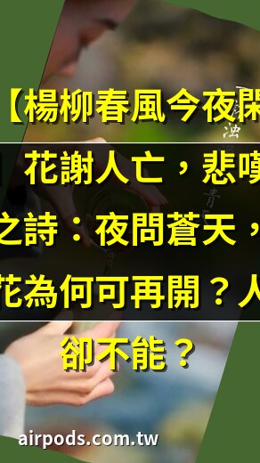 楊柳春風今夜閒 一杯濁酒問青天