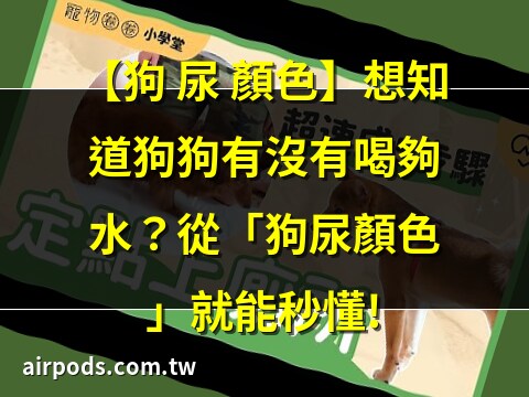 狗 尿 顏色