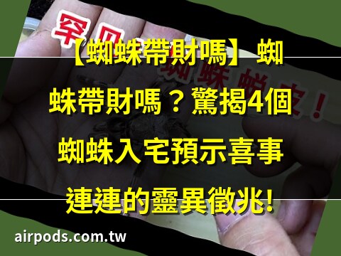 蜘蛛帶財嗎