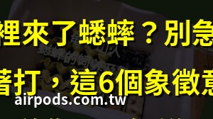 蟋蟀在家裡