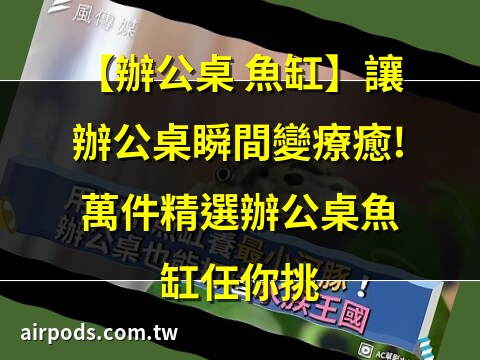 辦公室小魚缸