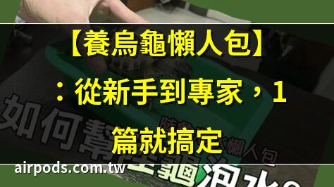 【新手養烏龜】新手必學!5大重點搞懂烏龜養護，第一次養龜輕鬆上手｜新手養龜懶人包