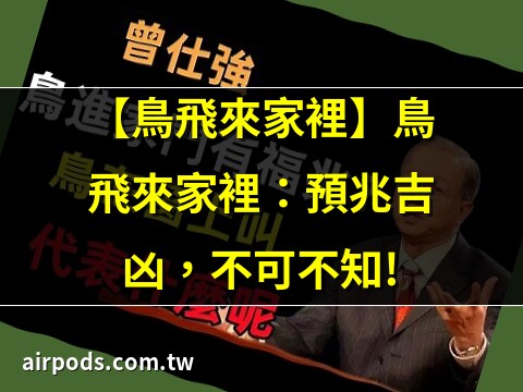 鳥飛進家裡死掉