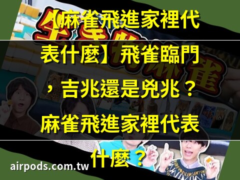 麻雀飛進來