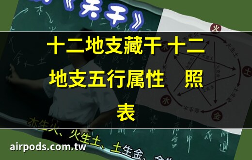 地支的五行