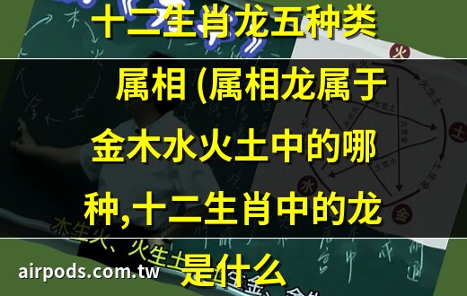 龙属五行