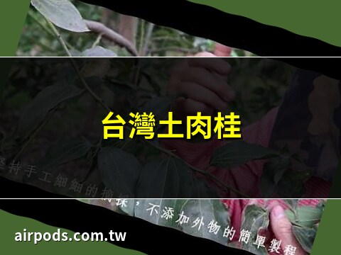土肉桂開花