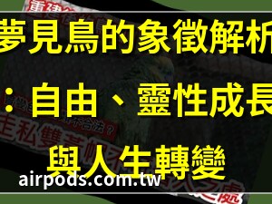 夢見鸚鵡入屋
