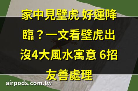 壁虎為什麼到家裡來？有5個原因｜壁虎帶財別趕走!5種動物昆蟲進家好運到，牠不討喜卻能帶來吉利