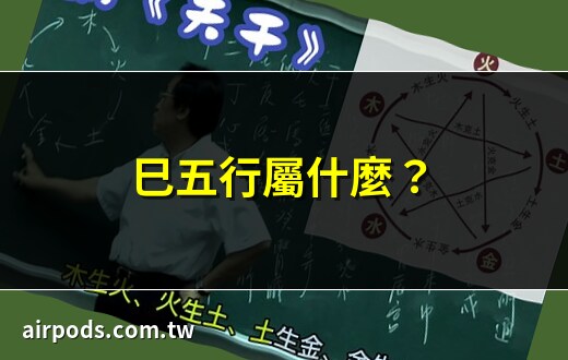 巳的五行