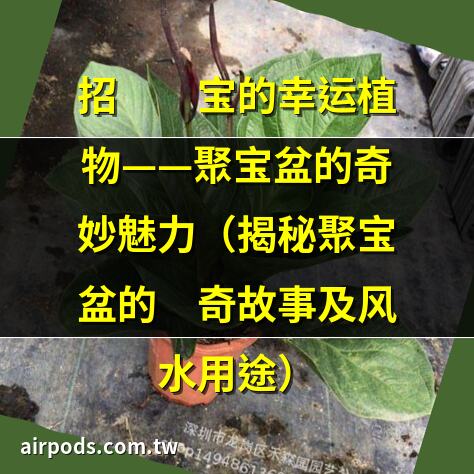 聚寶盆擺放風水講究嗎｜聚寶盆的寓意與象徵