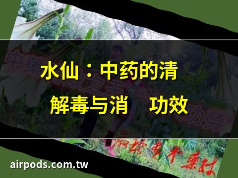 水仙子中藥