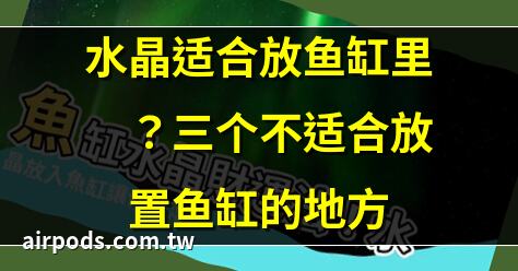 財位可以放魚缸嗎？－天然水晶分享小天地｜【財位放魚缸真的能招財嗎？風水專家揭祕】