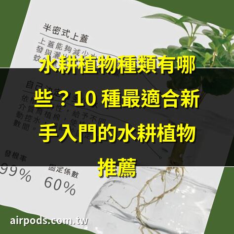 水耕栽培で育てる! 野菜・ハーブ・観葉植物・球根・多肉植物 ｜水根植物有哪些？深入瞭解水生植物的重要性