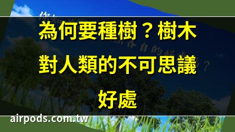 人到中年才明白：家裡種小樹，十家有九富｜居家種樹增風水