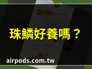 珠鱗魚會生嗎