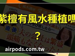 紫檀木風水