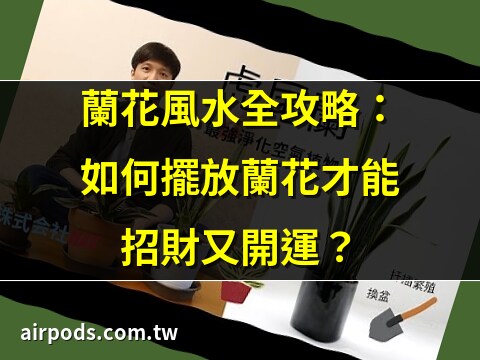 室內蘭花風水