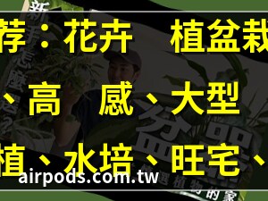 大型植物盆栽