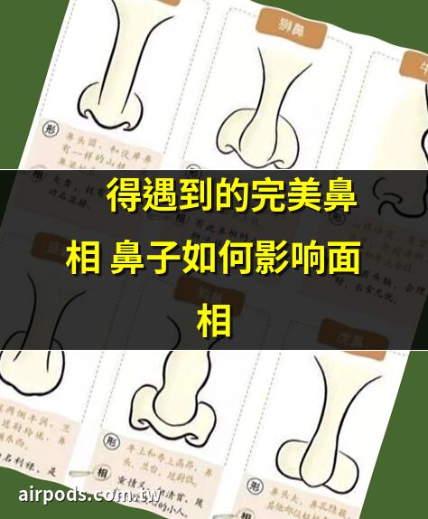 難得遇到的完美鼻相 鼻子如何影響面相｜不露鼻孔的女人面相，不露鼻孔的女人面相圖解