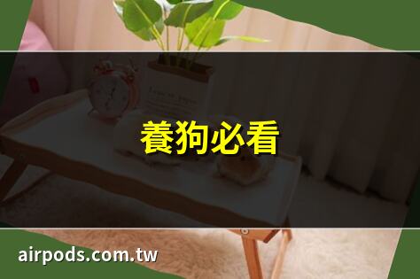 【什麼動物可以養】必看!不佔空間、適合養在室內的20種寵物推薦｜養狗必看