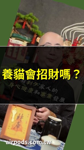養貓招財