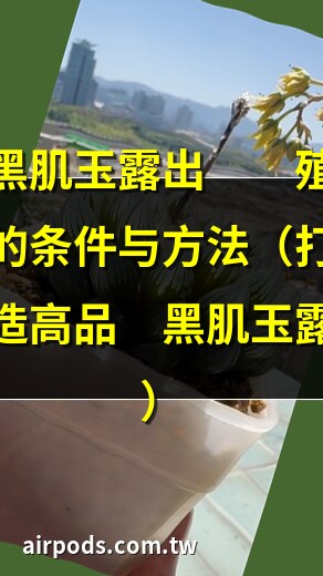 黑肌玉露