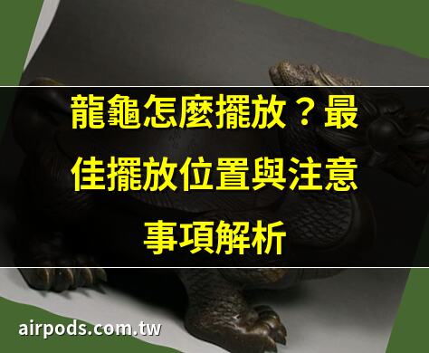 龍龜風水指南：龍龜怎麼擺放才能吸財避害？ ｜【龍龜可以放房間嗎】龍龜鎮宅：完整破解功效、擺放、禁忌一次看!