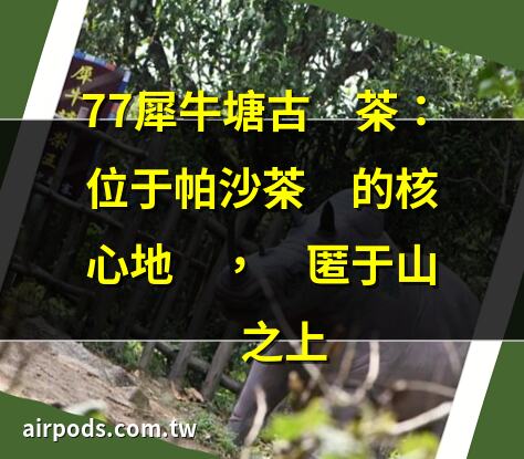 77犀牛塘古樹茶：位於帕沙茶區的核心地帶，隱匿於山巔之上｜貴族新秀，小眾山頭，帕沙犀牛塘